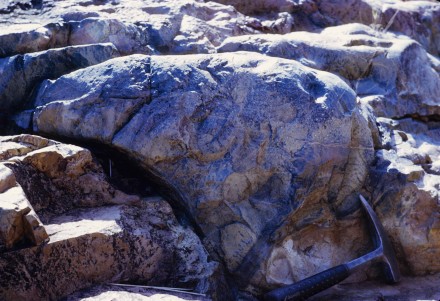 Figure 10 - Outcrop of pillow lavas (Barberton, S. Africa).