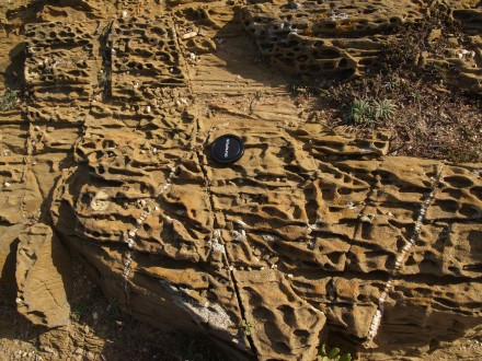 Figure 32 - Boxwork weathering on flisch sandstones (Cabo Sardão, Portugal).