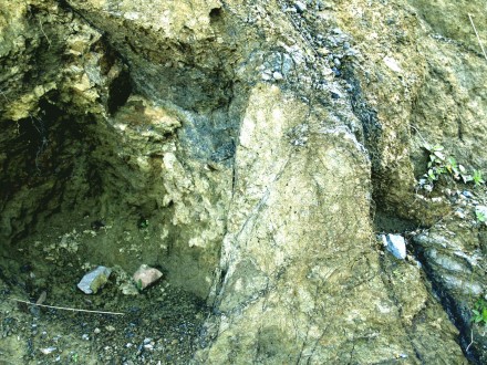 Serpentine after olivine, notice the initial formation of a box-work texture (Boula, india).
