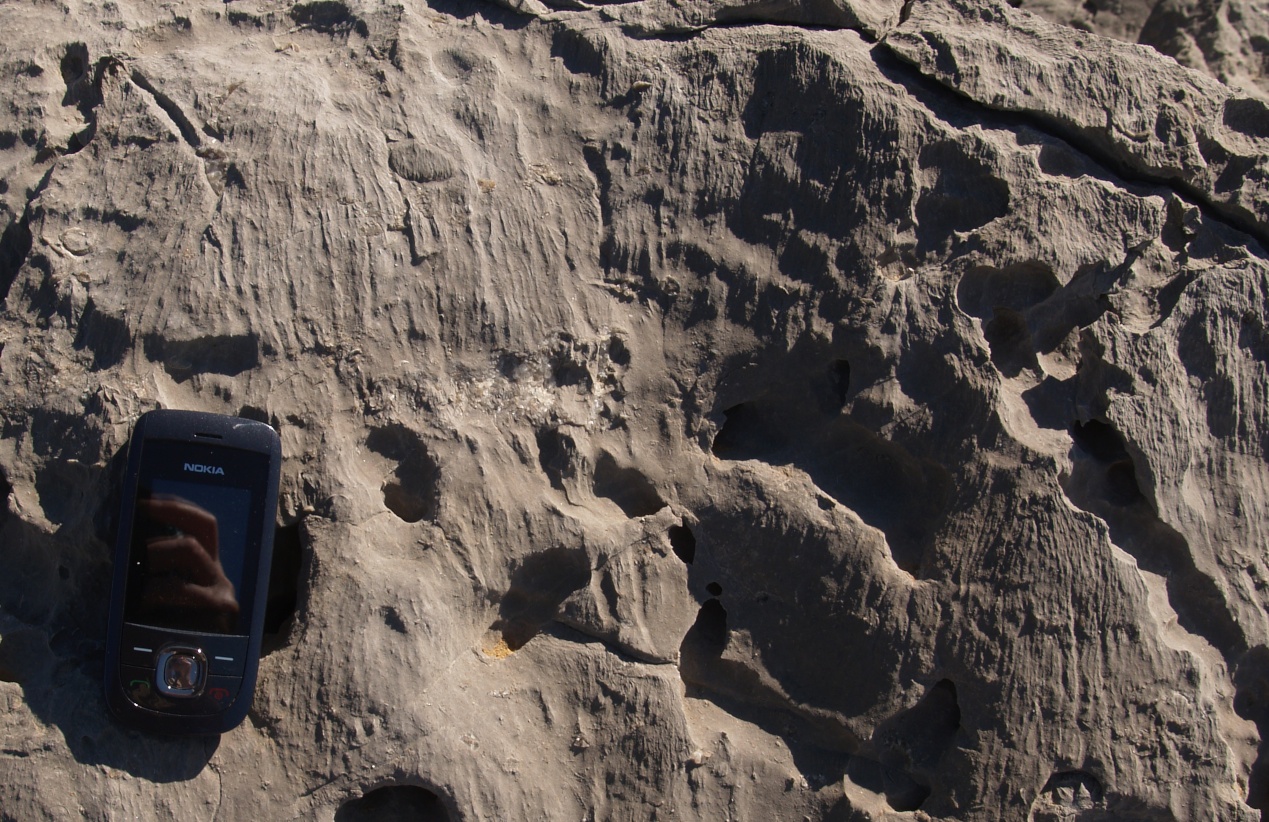 Figure 54B - Effect of sand blasting on a limestone outcrop (Praia do Abano, Sintra coast, Portugal