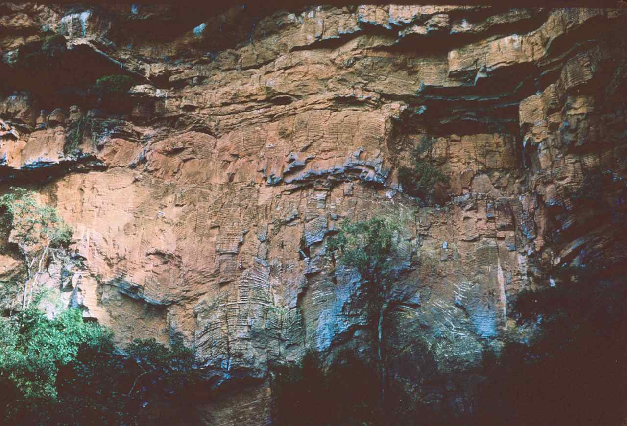 Figure 115 - Column of well marked alternating dolomite and chert (positive relief) (Sabie River. S. Africa)