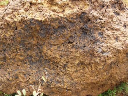 laterite - close up Figure 125 - close up of the laterite (Orissa, India).