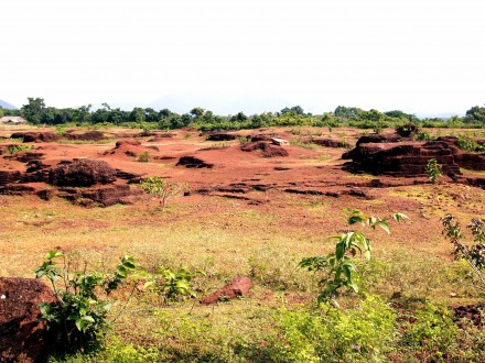 laterite field Figure 124 - Laterite field, rather barren compared to the lush vegetation in the background (Orissa, India).