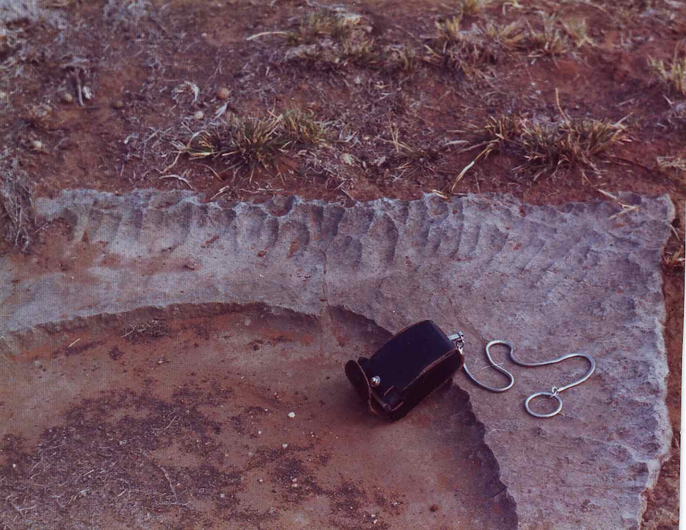 figure 111B - Close view of one of the mud crack plates (Ulco. S. Africa)