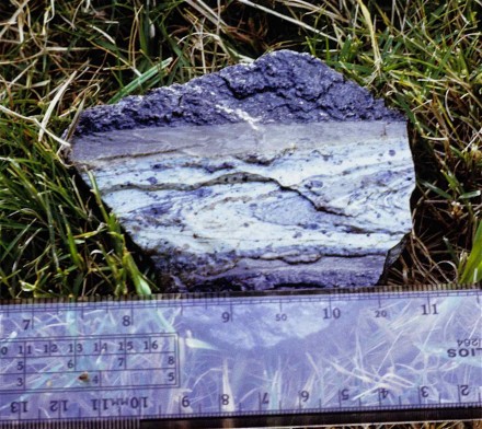 Figure 133 - fault plane filled with mylonite (Buffelsfontein Mine, Stillfontein, South Africa).