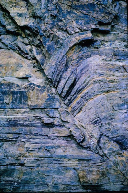 Figure 129 - Reverse fault with drag of sediments on the up-throw side (Cape Peninsula, South Africa)