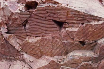 ripple mark sets Figure 108 - Ripple marks in quartzite (Ferro Quarry, Pretoria, S. Africa).