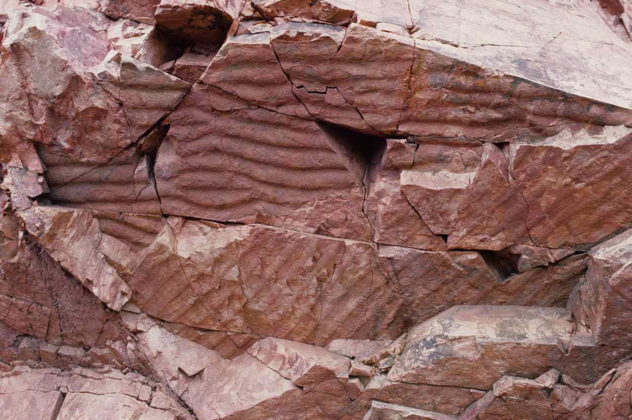Figure 109 - Ripple marks in quartzite (Ferro Quarry, Pretoria, S. Africa).