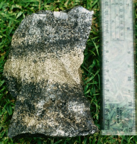 cross bedded pyrite Figure 108 - Cross-bedding enhanced by pyrite in Main Reef internal waste (East Driefontein Mine, Carletonville, S. Africa).