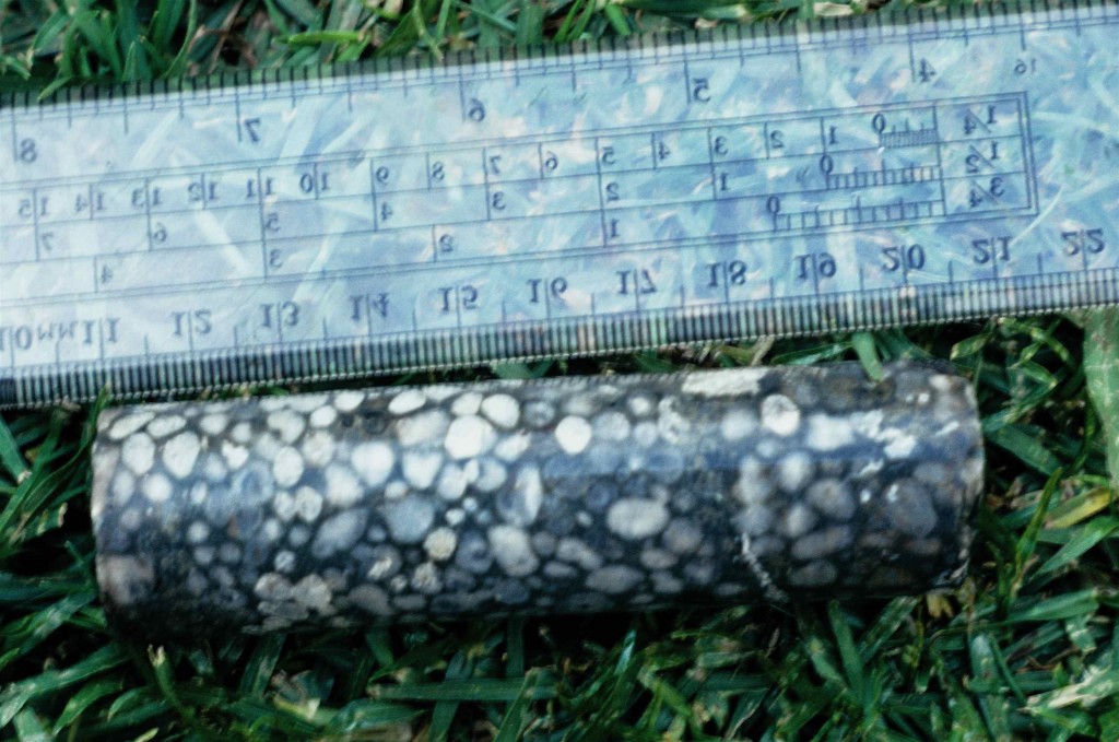 amigdaloidal lava Figure 8 - Amygdaloidal lava( Ventersdorp lavas, Carletonville, S. Africa).