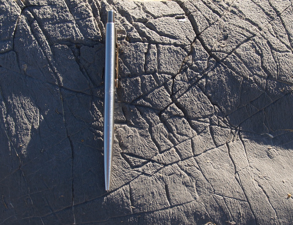 Figure 31E - "Elephant hide" type weathering on a grey limestone (Praia do Abano, Sintra, Portugal