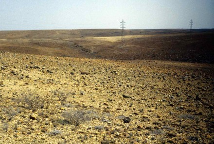 ￼Figure 49 - Partial desert pebble screen (Namibe Desert, Angola).