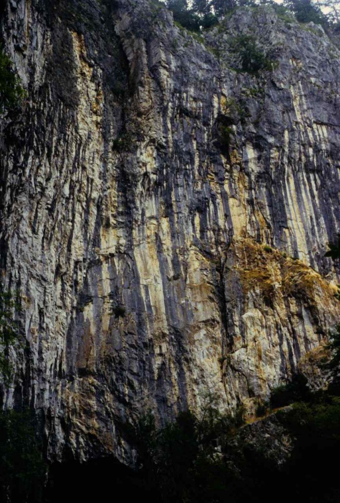 under side of Slovenia sink hole View from below of a sink hole face (Slovenia).