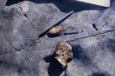 Figure 114 - Close up of silica nodules within a limestone evaporite (Serra do Sicó, Portugal).