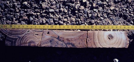 Figure 121 - Diamond drill core cutting through the Gorokop calcite fan (Ulco, South Africa). 